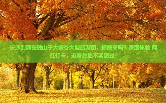长沙到新疆独山子大峡谷大型旅游团