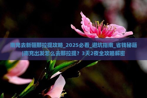 南充去新疆那拉提攻略
