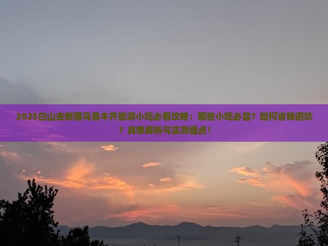 白山去新疆乌鲁木齐旅游小吃
