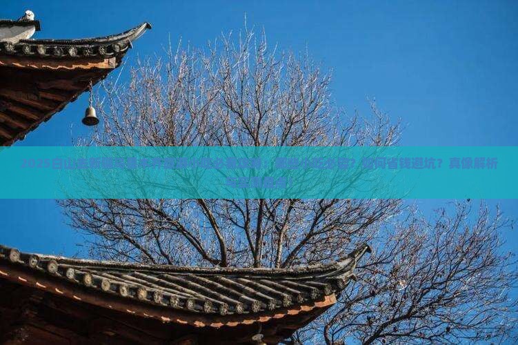 白山去新疆乌鲁木齐旅游小吃
