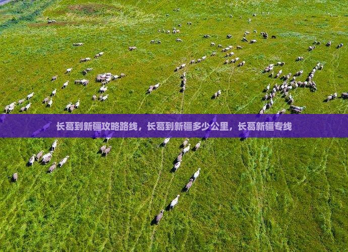 长葛到新疆攻略