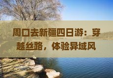 周口去新疆四日游