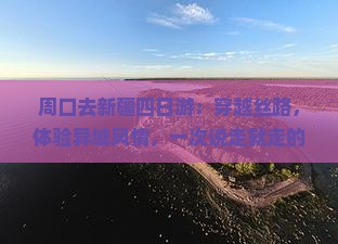 周口去新疆四日游