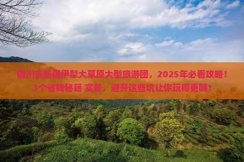 铜川去新疆伊犁大草原大型旅游团