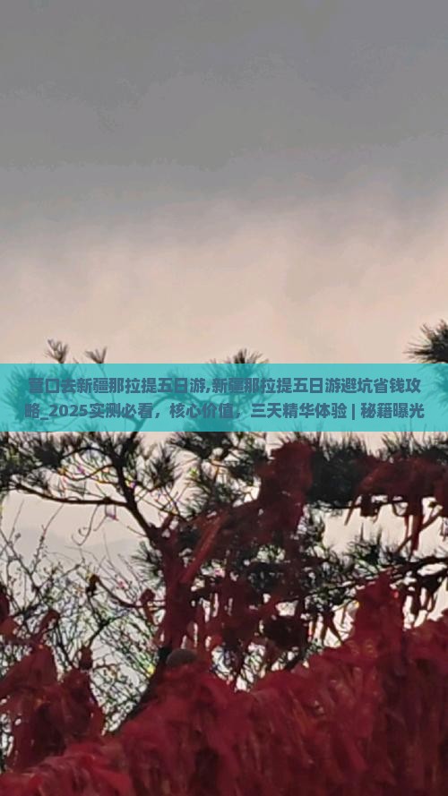 营口去新疆那拉提五日游