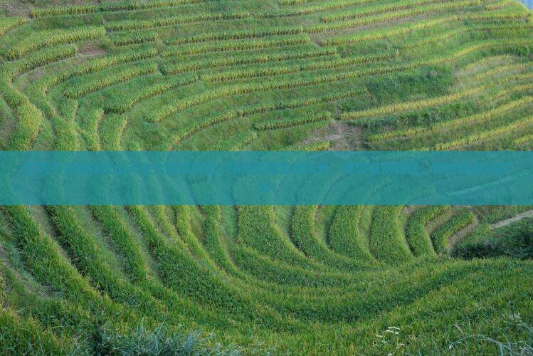石河子去新疆天山天池大型旅游团