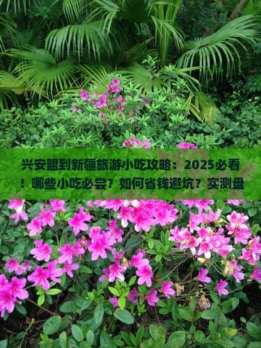 兴安盟到新疆旅游小吃