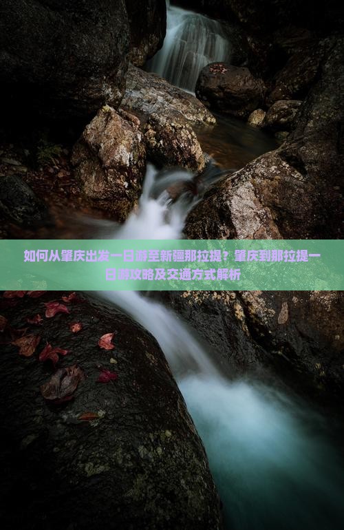 如何从肇庆出发一日游至新疆那拉提？肇庆到那拉提一日游攻略及交通方式解析
