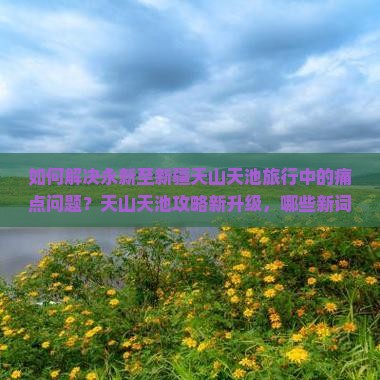 如何解决永新至新疆天山天池旅行中的痛点问题？天山天池攻略新升级，哪些新词热词必备？