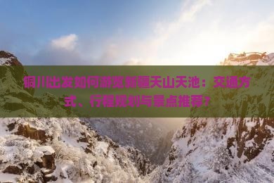铜川出发如何游览新疆天山天池：交通方式、行程规划与景点推荐？