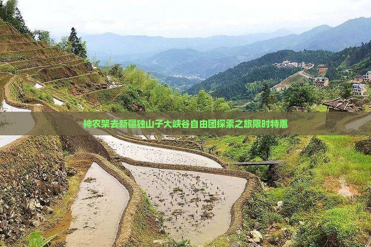 神农架去新疆独山子大峡谷自由团探索之旅限时特惠