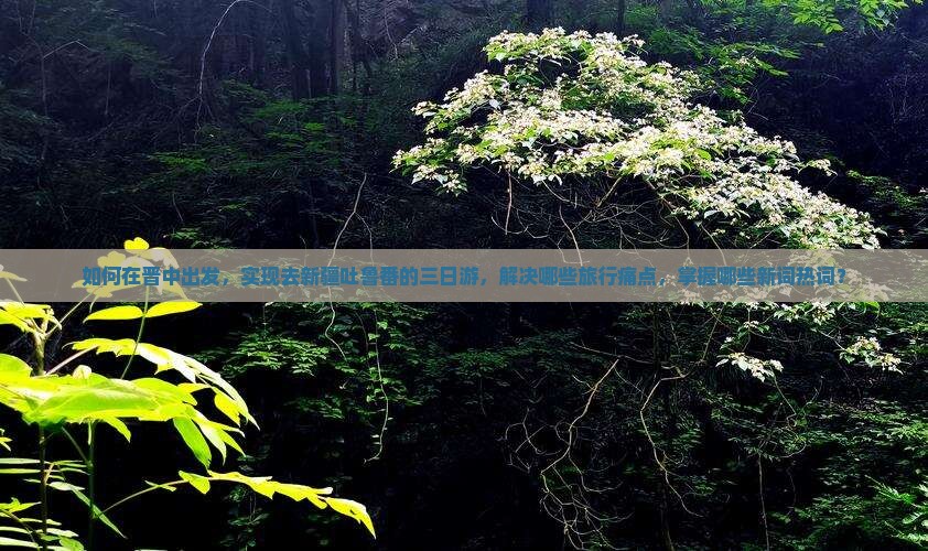 如何在晋中出发，实现去新疆吐鲁番的三日游，解决哪些旅行痛点，掌握哪些新词热词？