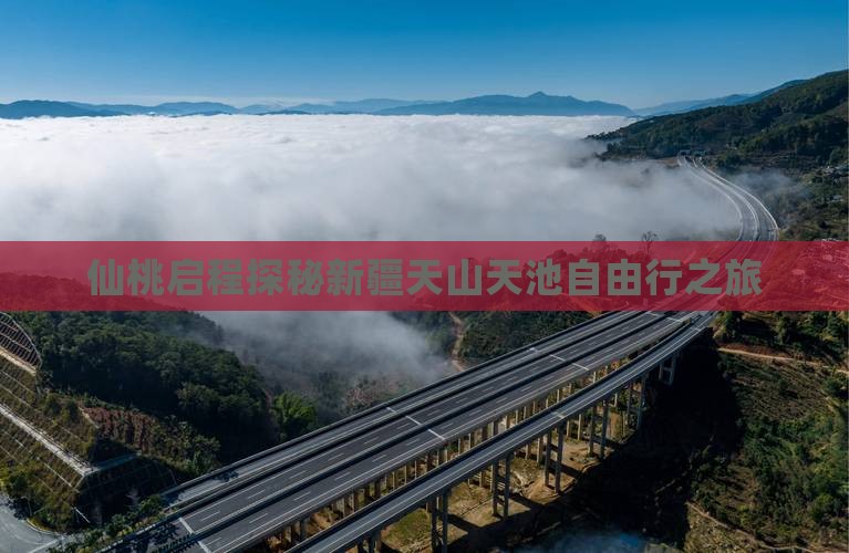 仙桃启程探秘新疆天山天池自由行之旅