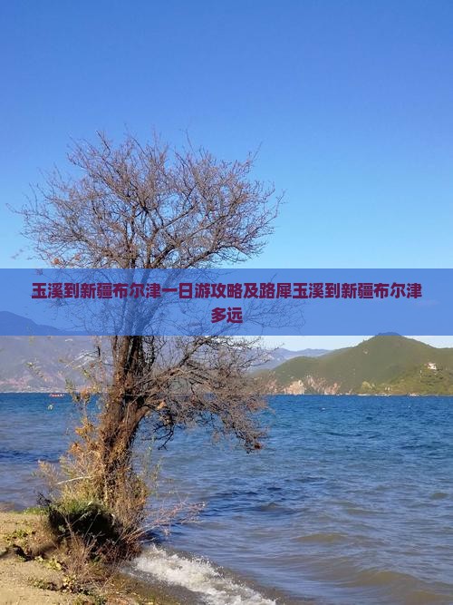 玉溪到新疆布尔津一日游攻略及路犀玉溪到新疆布尔津多远