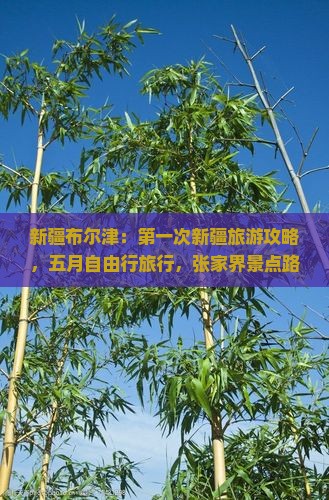 新疆布尔津：第一次新疆旅游攻略，五月自由行旅行，张家界景点路线一览，国际旅行社详解