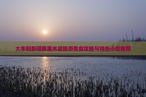 大丰到新疆赛里木湖旅游美食攻略与特色小吃推荐