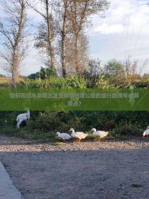如何规划从阜阳出发至新疆独库公路的旅行路线与必游景点？