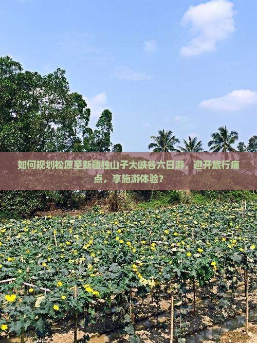如何规划松原至新疆独山子大峡谷六日游，避开旅行痛点，享施游体验？