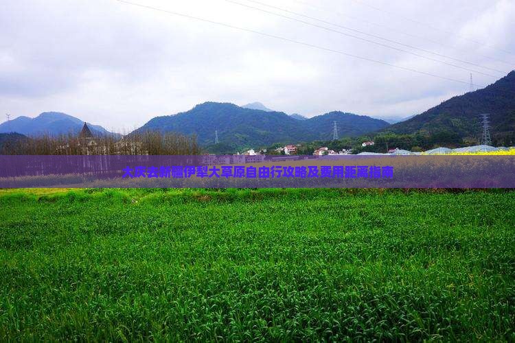 大庆去新疆伊犁大草原自由行攻略及费用距离指南