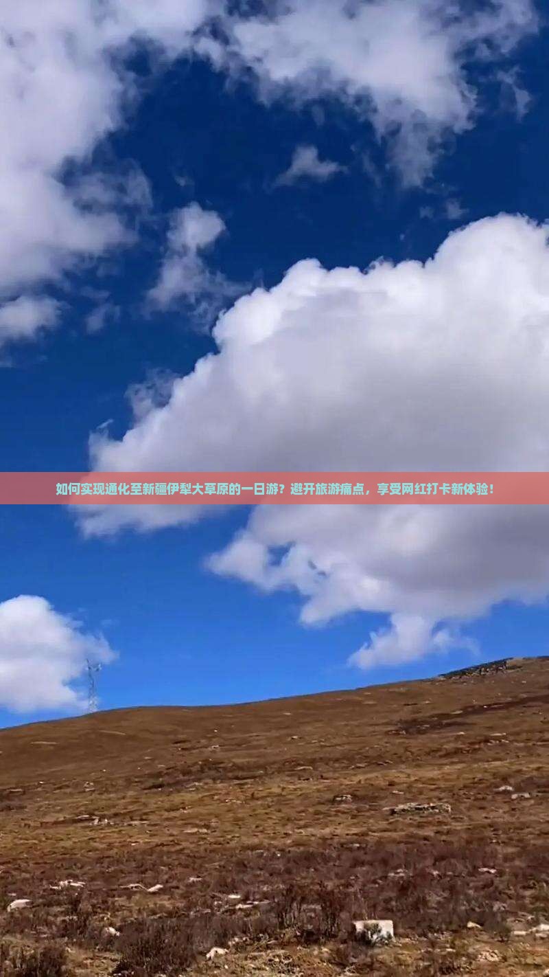 如何实现通化至新疆伊犁大草原的一日游？避开旅游痛点，享受网红打卡新体验！