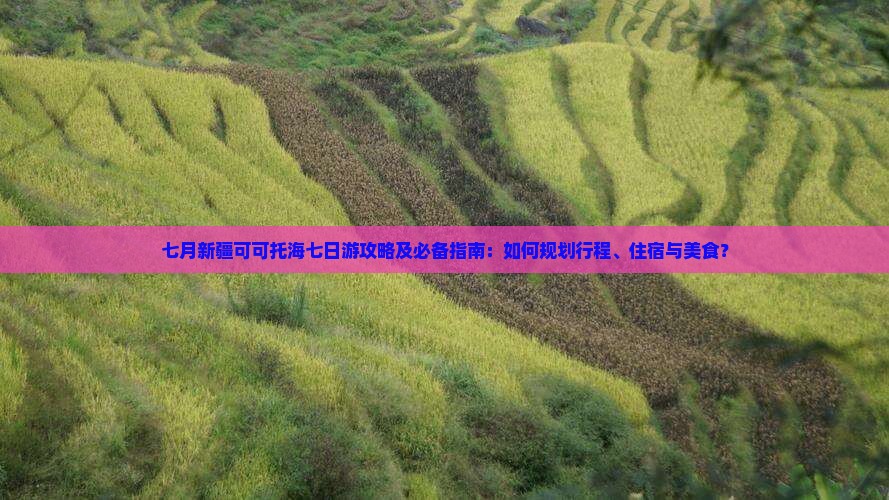 七月新疆可可托海七日游攻略及必备指南：如何规划行程、住宿与美食？
