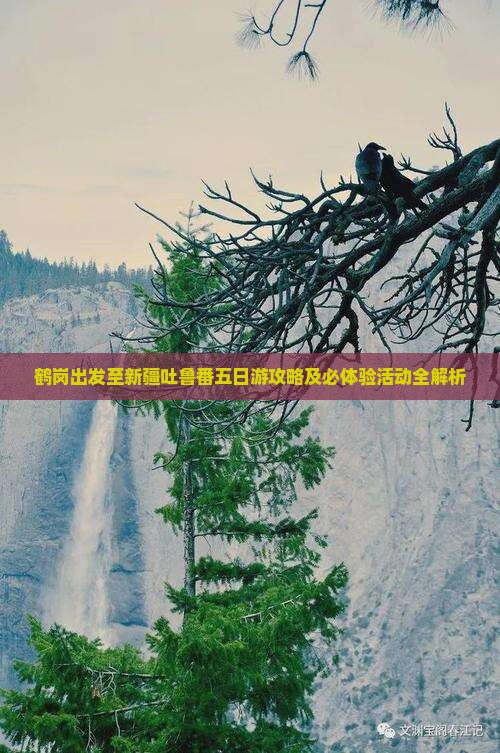 鹤岗出发至新疆吐鲁番五日游攻略及必体验活动全解析
