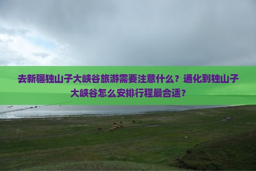 去新疆独山子大峡谷旅游需要注意什么？通化到独山子大峡谷怎么安排行程最合适？