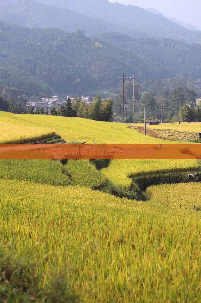 沧州到新疆那拉提五日游攻略