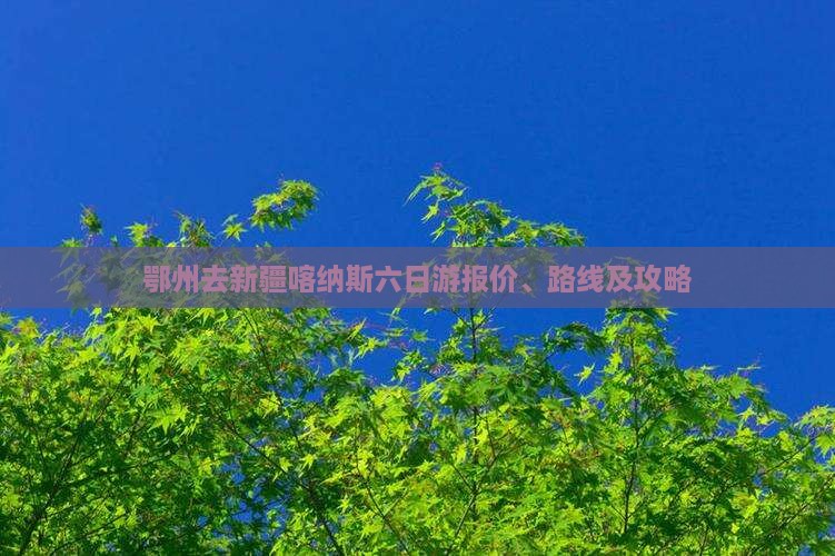 鄂州去新疆喀纳斯六日游报价、路线及攻略