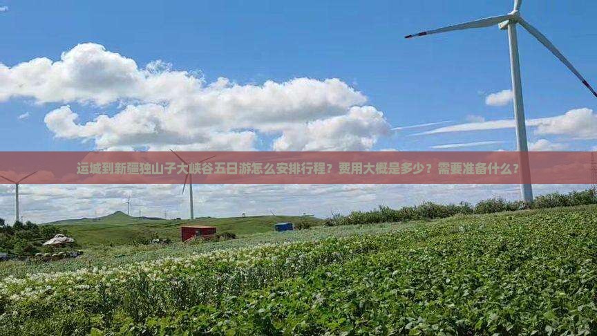 运城到新疆独山子大峡谷五日游怎么安排行程？费用大概是多少？需要准备什么？