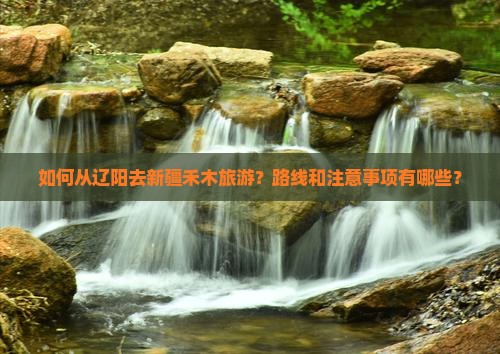 如何从辽阳去新疆禾木旅游？路线和注意事项有哪些？