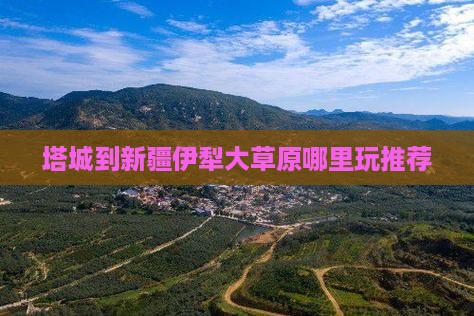 塔城到新疆伊犁大草原哪里玩推荐