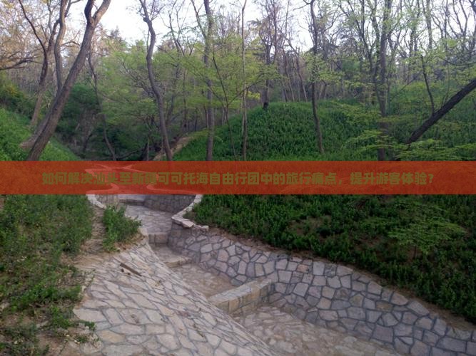 如何解决汕头至新疆可可托海自由行团中的旅行痛点，提升游客体验？
