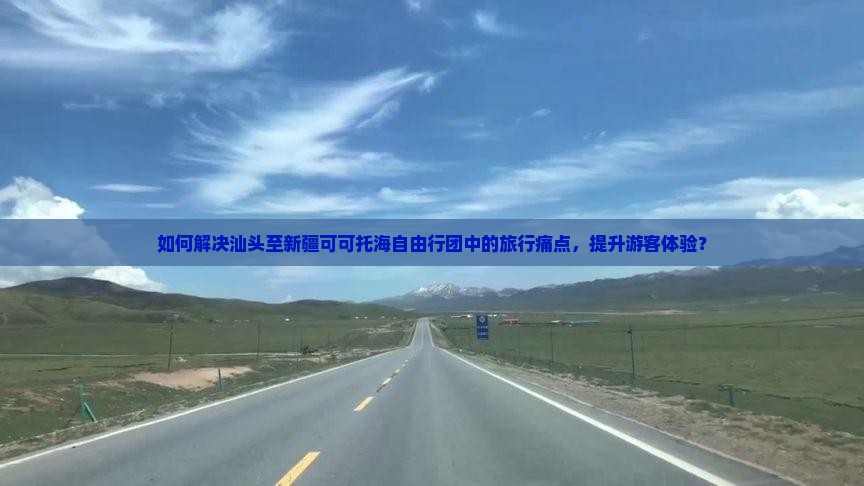 如何解决汕头至新疆可可托海自由行团中的旅行痛点，提升游客体验？