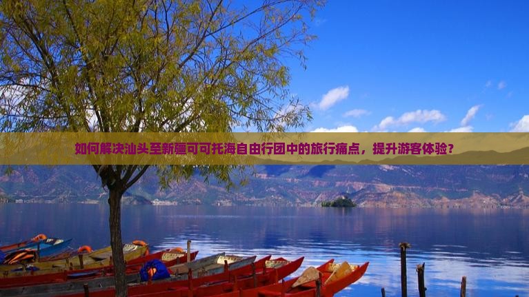 如何解决汕头至新疆可可托海自由行团中的旅行痛点，提升游客体验？