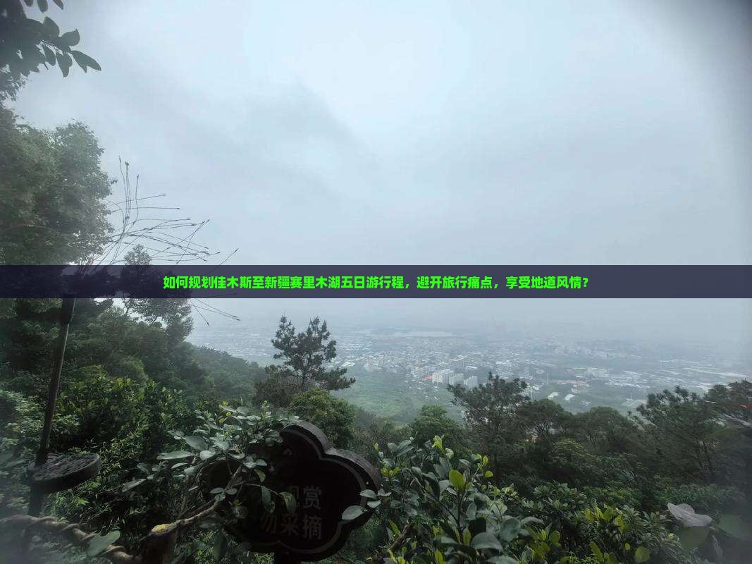 如何规划佳木斯至新疆赛里木湖五日游行程，避开旅行痛点，享受地道风情？