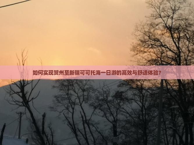 如何实现贺州至新疆可可托海一日游的高效与舒适体验？