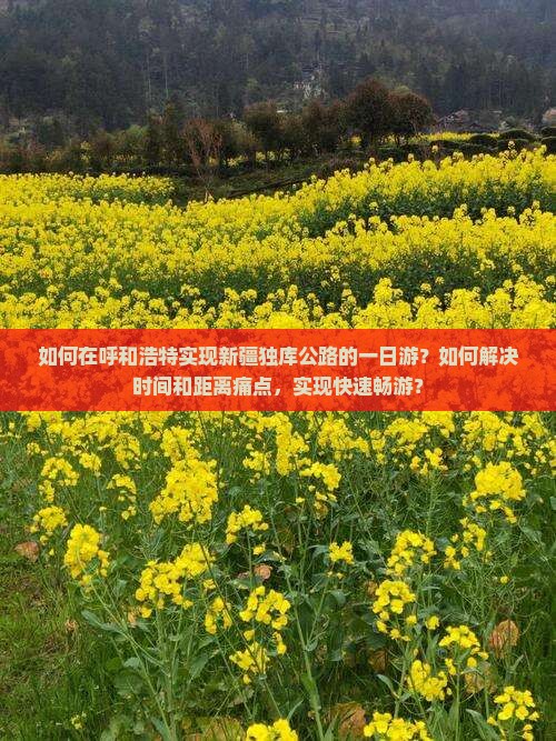 如何在呼和浩特实现新疆独库公路的一日游？如何解决时间和距离痛点，实现快速畅游？