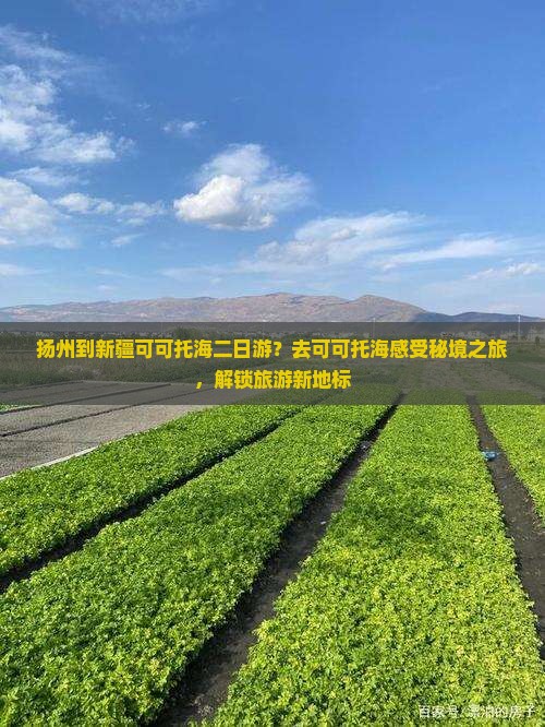 扬州到新疆可可托海二日游？去可可托海感受秘境之旅，解锁旅游新地标