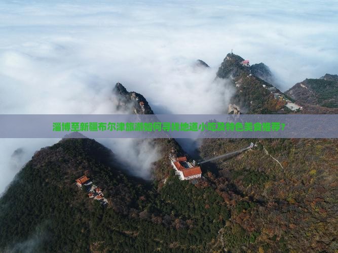 淄博至新疆布尔津旅游如何寻找地道小吃及特色美食推荐？