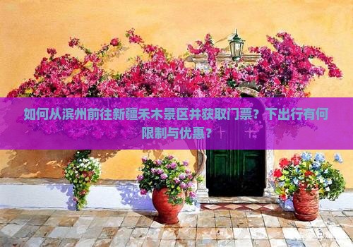 如何从滨州前往新疆禾木景区并获取门票？下出行有何限制与优惠？