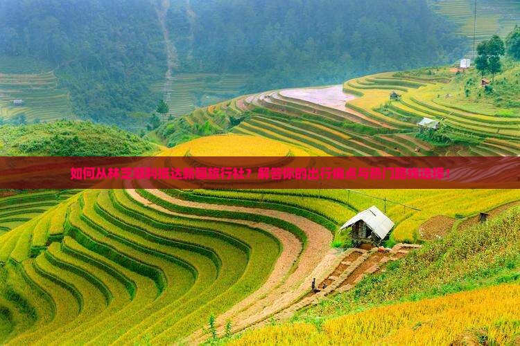 如何从林芝顺利抵达新疆旅行社？解答你的出行痛点与热门路线选择！