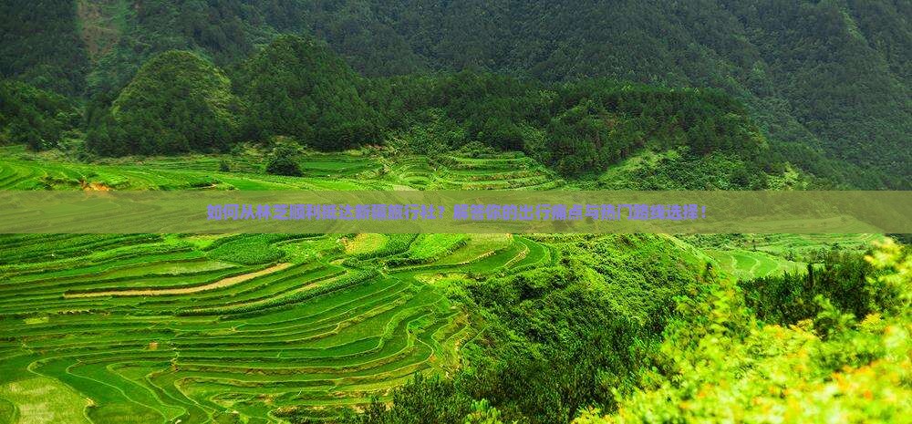 如何从林芝顺利抵达新疆旅行社？解答你的出行痛点与热门路线选择！