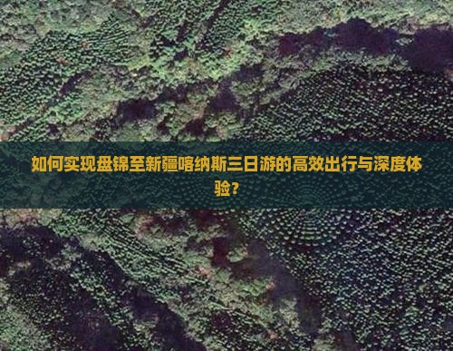 如何实现盘锦至新疆喀纳斯三日游的高效出行与深度体验？