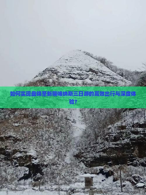 如何实现盘锦至新疆喀纳斯三日游的高效出行与深度体验？