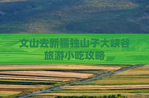 文山去新疆独山子大峡谷旅游小吃攻略