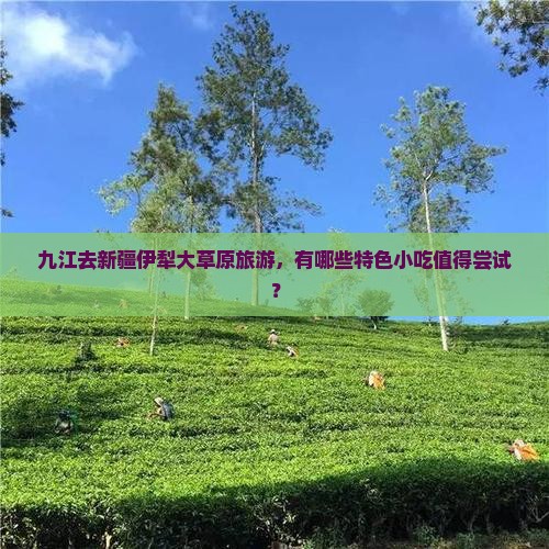 九江去新疆伊犁大草原旅游，有哪些特色小吃值得尝试？