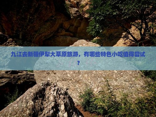 九江去新疆伊犁大草原旅游，有哪些特色小吃值得尝试？