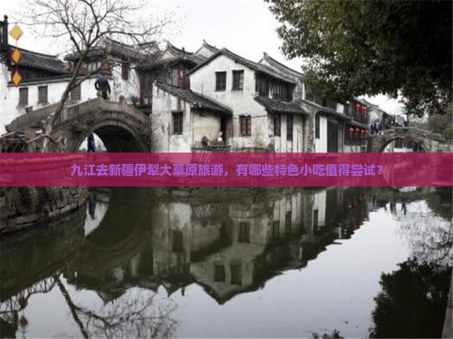 九江去新疆伊犁大草原旅游，有哪些特色小吃值得尝试？