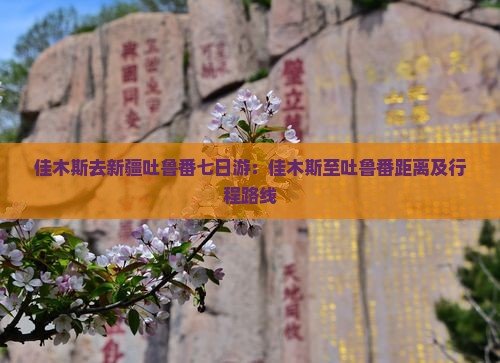 佳木斯去新疆吐鲁番七日游：佳木斯至吐鲁番距离及行程路线